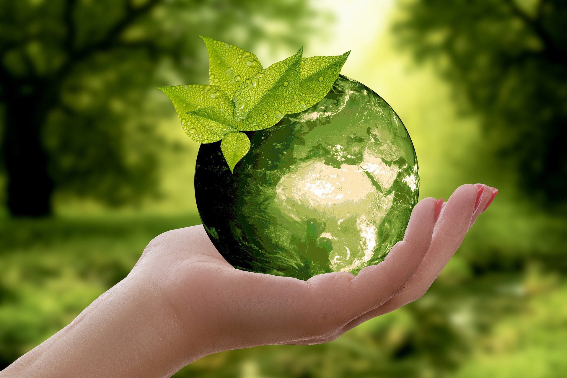 Untra Group – Du lịch trồng cây và thiện nguyện góp phần cho một thế giới xanh - 1