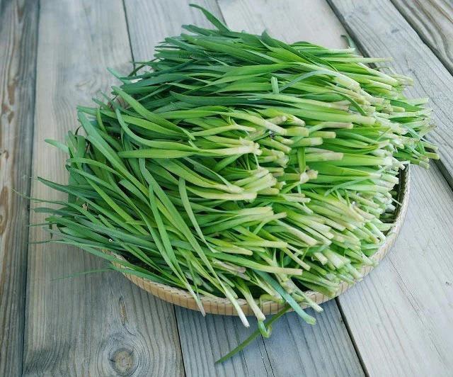 Những loại rau "bổ hơn thịt, rẻ hơn thuốc" bán đầy ngoài chợ, nhiều người không biết mà ăn - 2