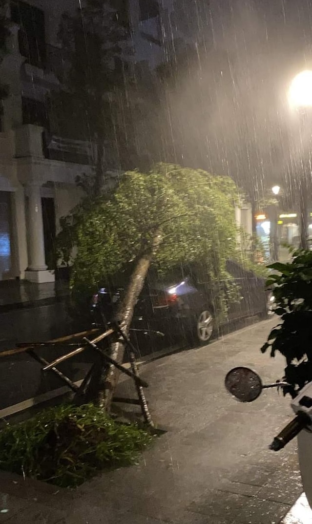 Đêm mất ngủ của người dân Quảng Ninh, Hải Phòng sau cuồng phong bão số 3 - 15