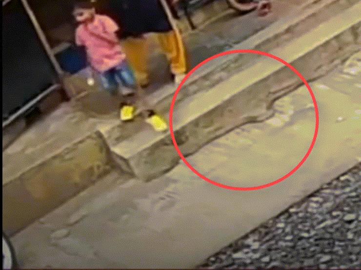 Video: 2 mẹ con bước đi ngay trên đầu rắn hổ mang và diễn biến thót tim sau đó