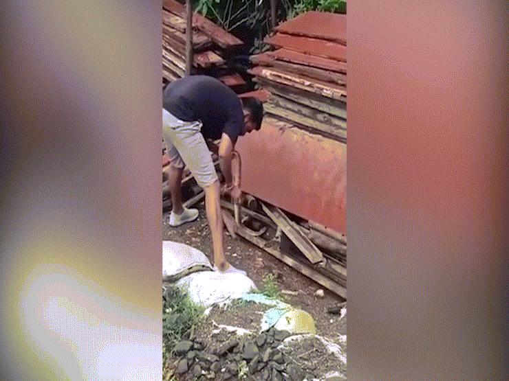 Video: Liều lĩnh dùng tay không bắt rắn độc, người đàn ông nhận ”cái kết đắng”