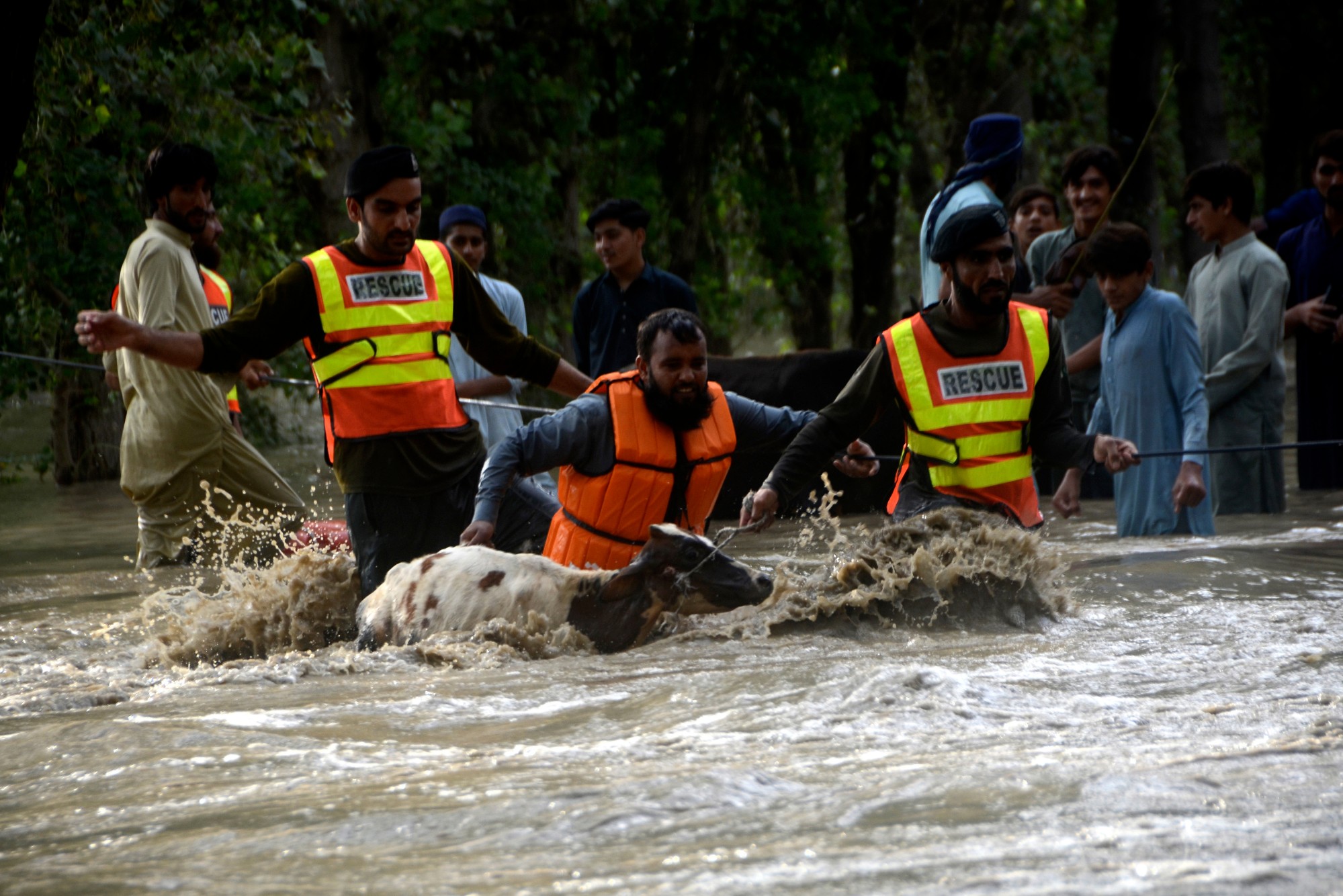 Pakistan: Hơn 1.000 người chết vì lũ lụt, đập lớn 90 tuổi bị đe dọa - 1