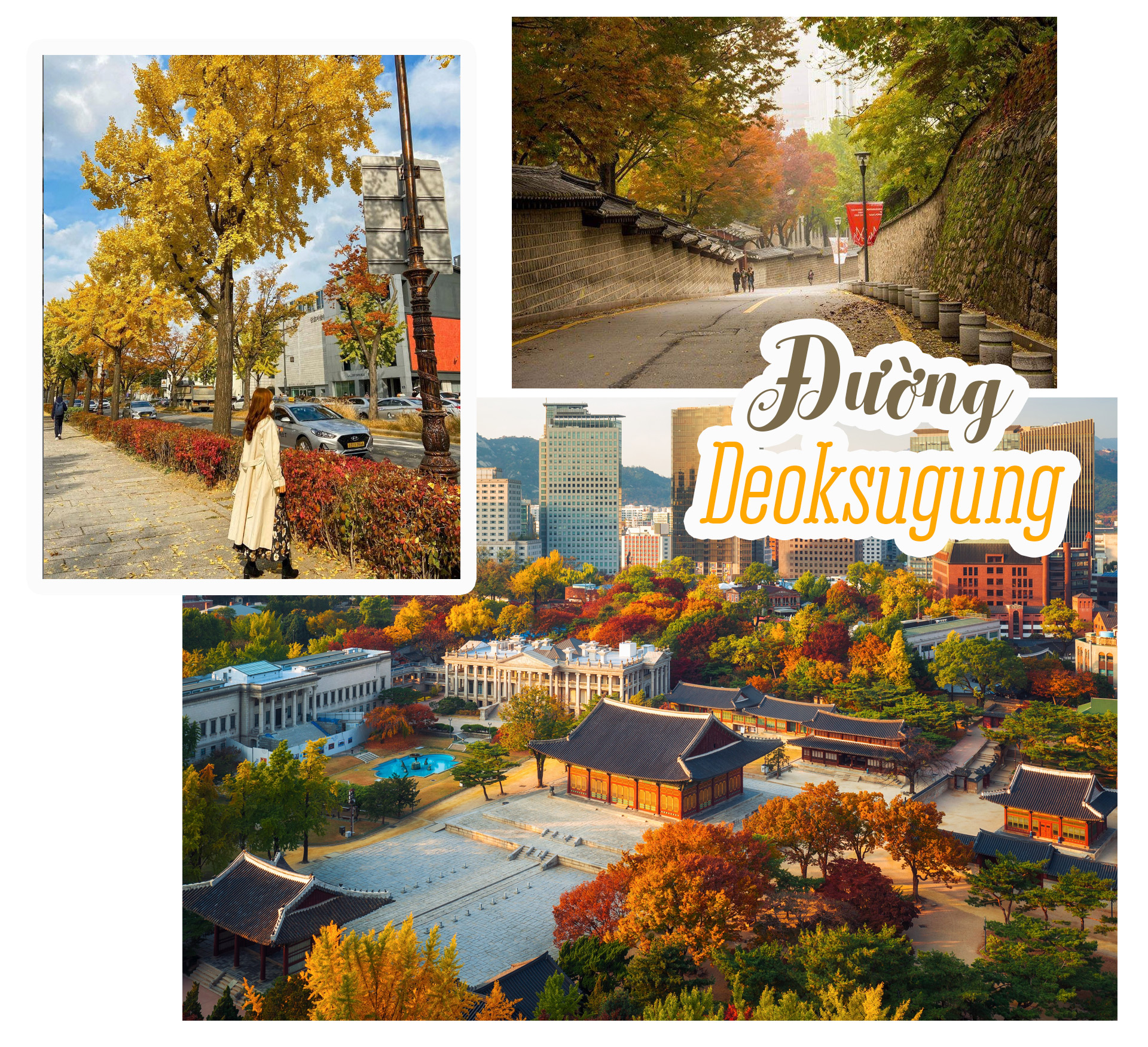 Mùa thu rực rỡ ở Hàn Quốc làm say lòng bao du khách - 3