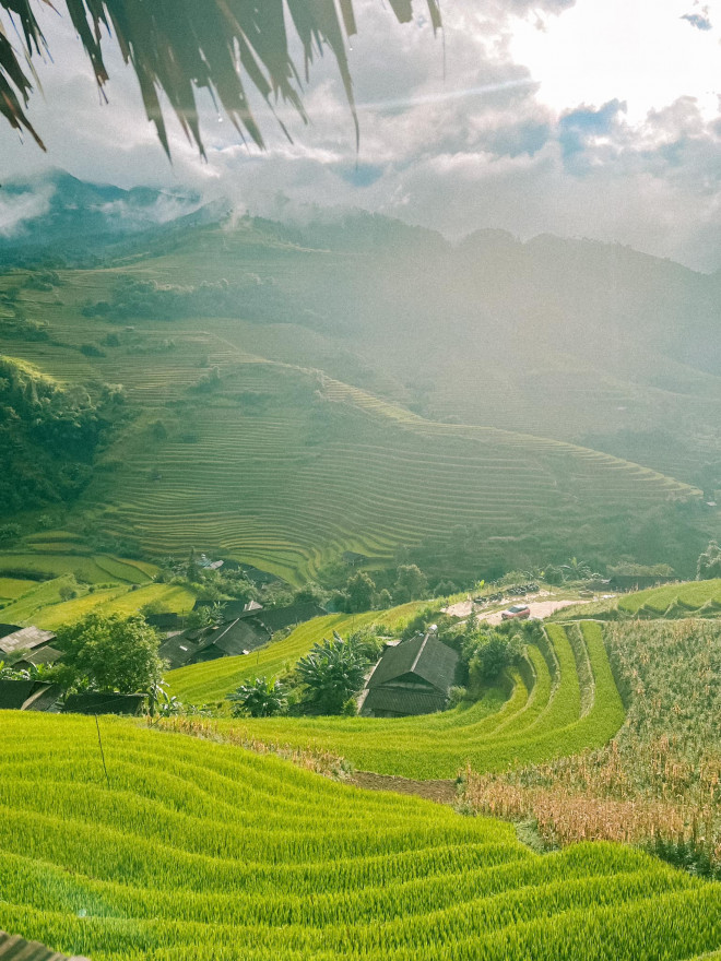 Lên Mù Cang Chải mùa vàng, hít hà hương lúa mới - 6