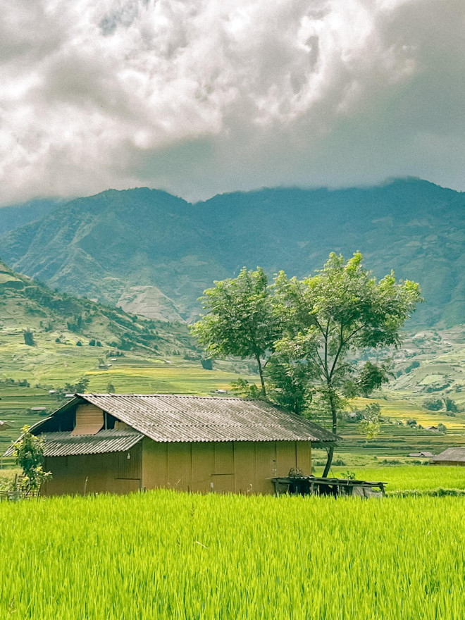Lên Mù Cang Chải mùa vàng, hít hà hương lúa mới - 7