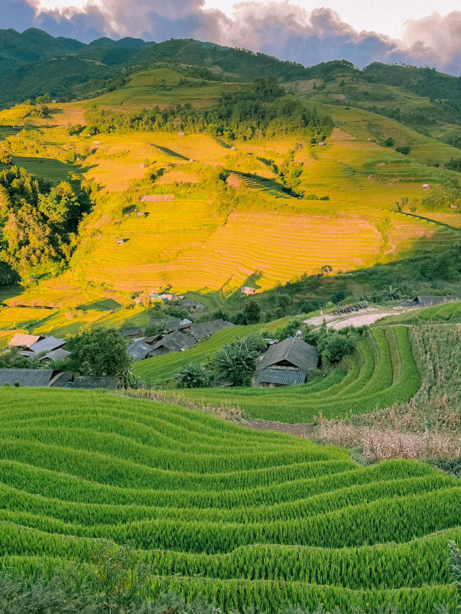 Lên Mù Cang Chải mùa vàng, hít hà hương lúa mới - 9