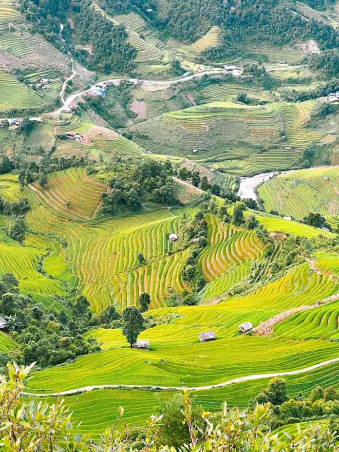 Lên Mù Cang Chải mùa vàng, hít hà hương lúa mới - 10