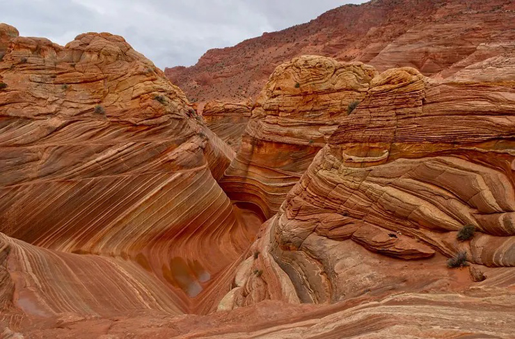 The Wave, Mỹ: Đây là một thế giới siêu thực của những mô hình giống như ảo giác và những sắc màu rất độc đáo. Những thành tạo đá kỳ lạ  này được cho là có từ kỷ Jura.
