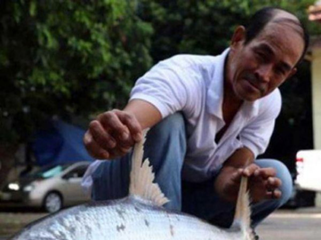 Bất ngờ tìm thấy loài cá chép khổng lồ tưởng đã tuyệt chủng ở Campuchia