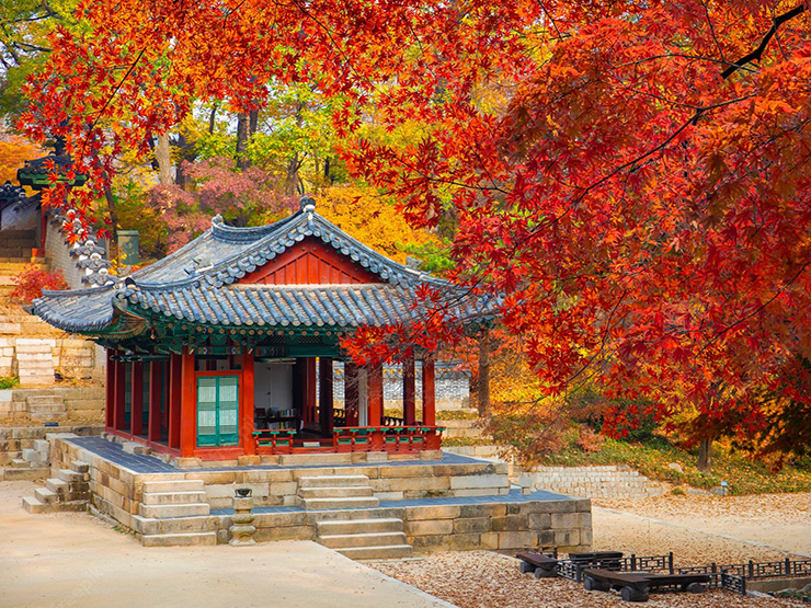 9 địa điểm ngắm mùa thu đẹp nhất Hàn Quốc, khung cảnh lãng mạn đến ...
