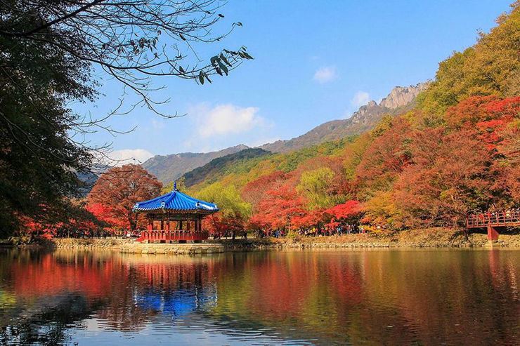 9 địa điểm ngắm mùa thu đẹp nhất Hàn Quốc, khung cảnh lãng mạn đến “nghẹt thở” - 9