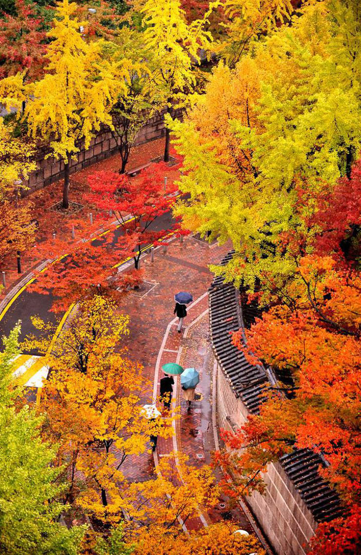 9 địa điểm ngắm mùa thu đẹp nhất Hàn Quốc, khung cảnh lãng mạn đến “nghẹt thở” - 10