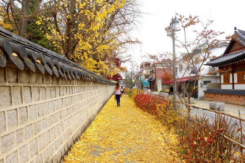 9 địa điểm ngắm mùa thu đẹp nhất Hàn Quốc, khung cảnh lãng mạn đến “nghẹt thở” - 11