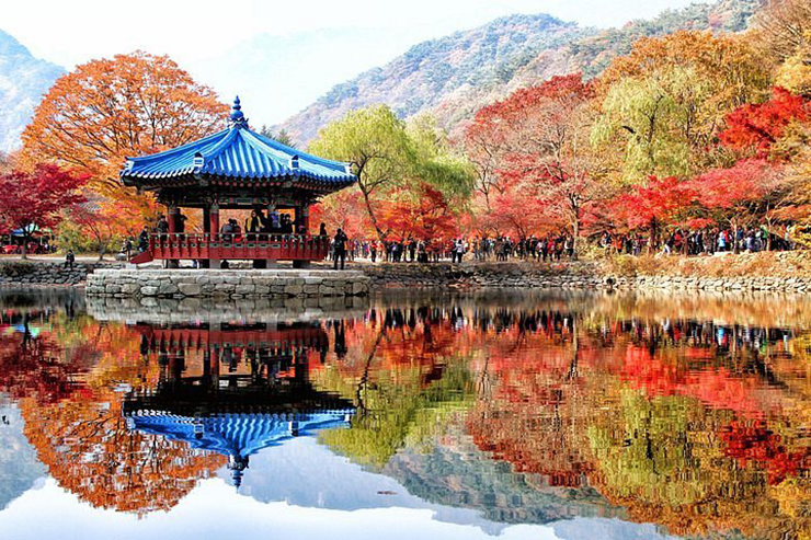 9 địa điểm ngắm mùa thu đẹp nhất Hàn Quốc, khung cảnh lãng mạn đến “nghẹt thở” - 12