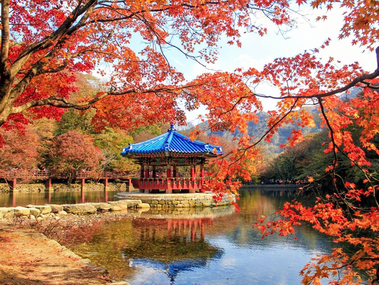 9 địa điểm ngắm mùa thu đẹp nhất Hàn Quốc, khung cảnh lãng mạn đến “nghẹt thở” - 14