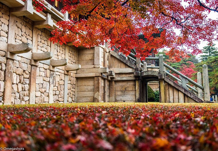 9 địa điểm ngắm mùa thu đẹp nhất Hàn Quốc, khung cảnh lãng mạn đến “nghẹt thở” - 16
