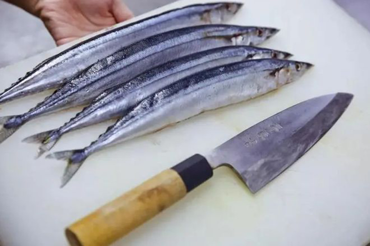 Loại cá được người Nhật quý như “vàng cho não” nhưng nhiều người không thích - 1