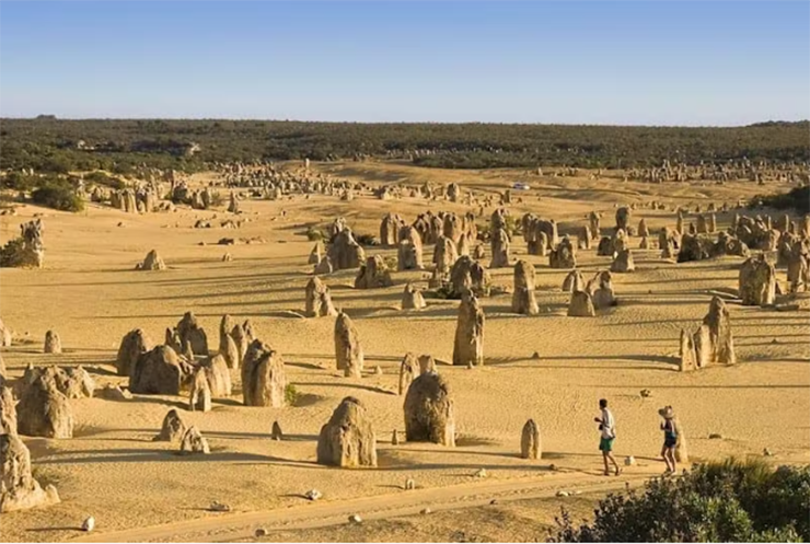The Pinnacles : Cách Perth một giờ về phía bắc là sa mạc Nambung của Tây Úc. Khi đi ngang qua bãi cát vàng, bạn sẽ sớm phát hiện ra một vùng đất rộng hàng km gồm các khối đá vôi lớn, kỳ lạ giống như những gì thường được mô tả là “Cuộc sống trên sao Hỏa”.
