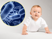 Tin tức sức khỏe - Chọn men vi sinh cho bé bị rối loạn tiêu hoá như thế nào để hiệu quả và an toàn?