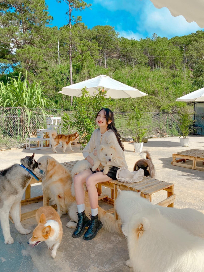 5 địa điểm "dân sống ảo" không thể bỏ qua khi đến Đà Lạt - 9