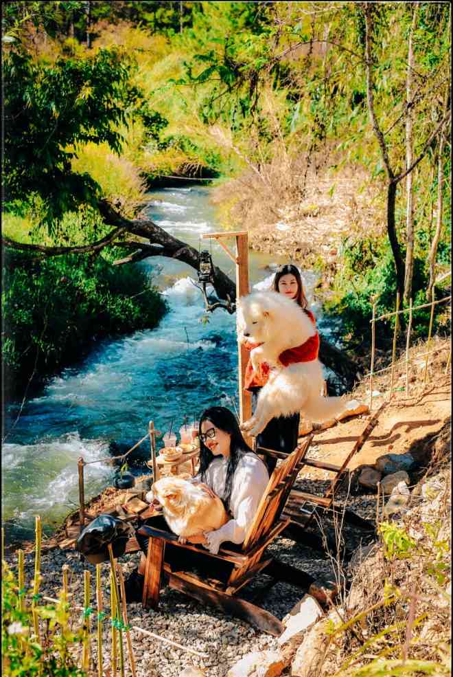 5 địa điểm "dân sống ảo" không thể bỏ qua khi đến Đà Lạt - 10