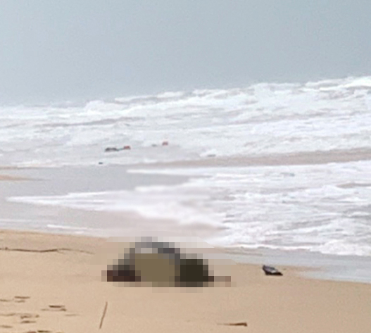 Phát hiện nhiều thi thể trôi dạt vào bờ biển Phú Quốc - 1