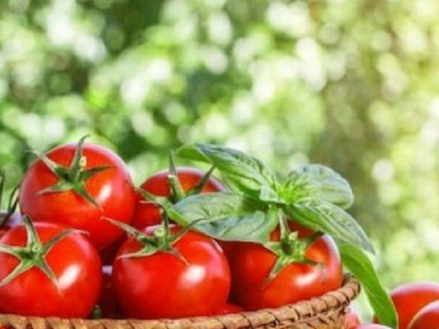 Ăn cà chua, chớ dại kết hợp với những thực phẩm này kẻo sinh bệnh