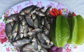 Thầy giáo ở Hà Tĩnh chia sẻ về món cá rô kho ngày mưa bão và công thức cá rô đồng kho khế - 1