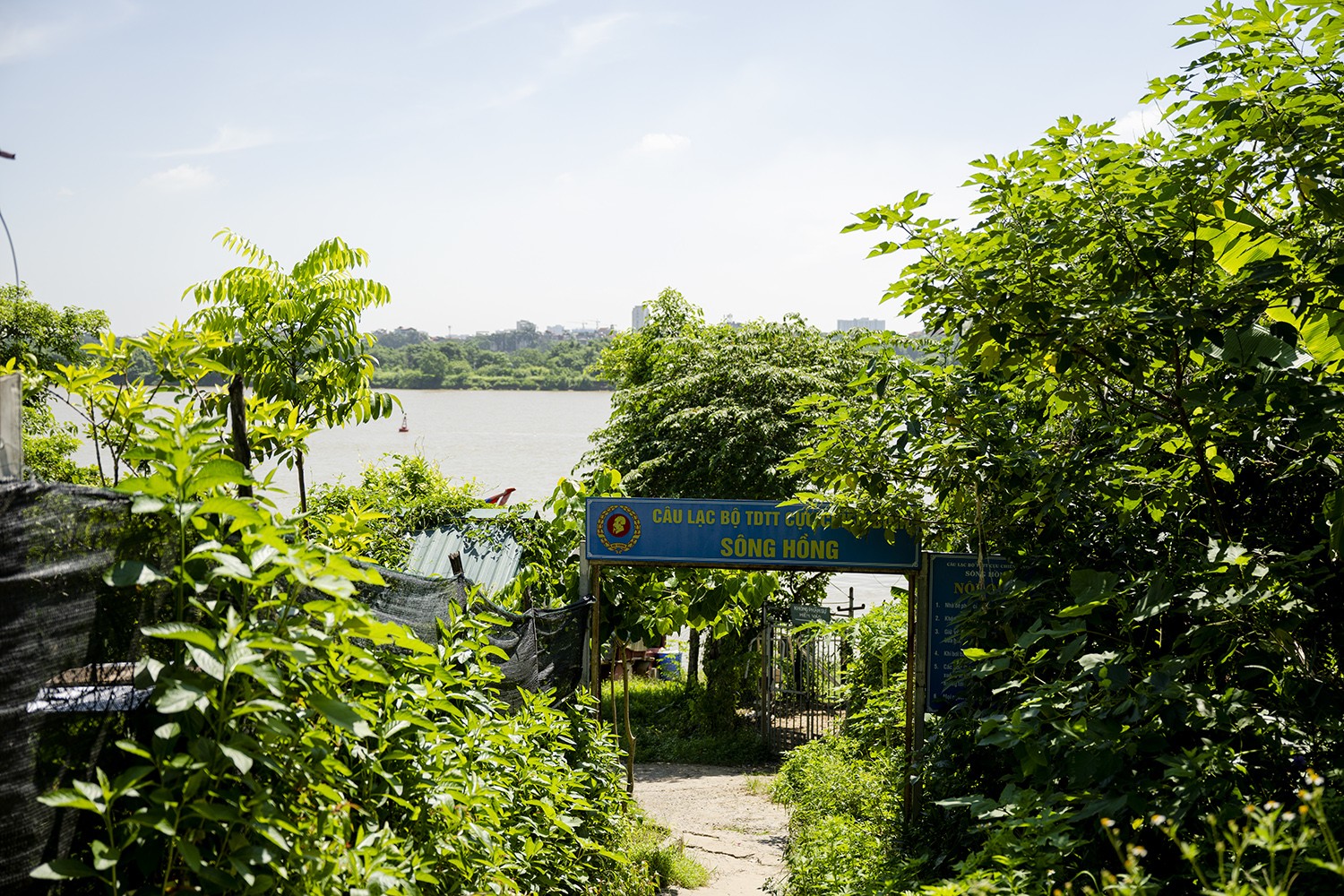 Ngắm vẻ đẹp hoang sơ của bãi giữa sông Hồng, nơi sẽ trở thành công viên văn hóa đa năng - 7