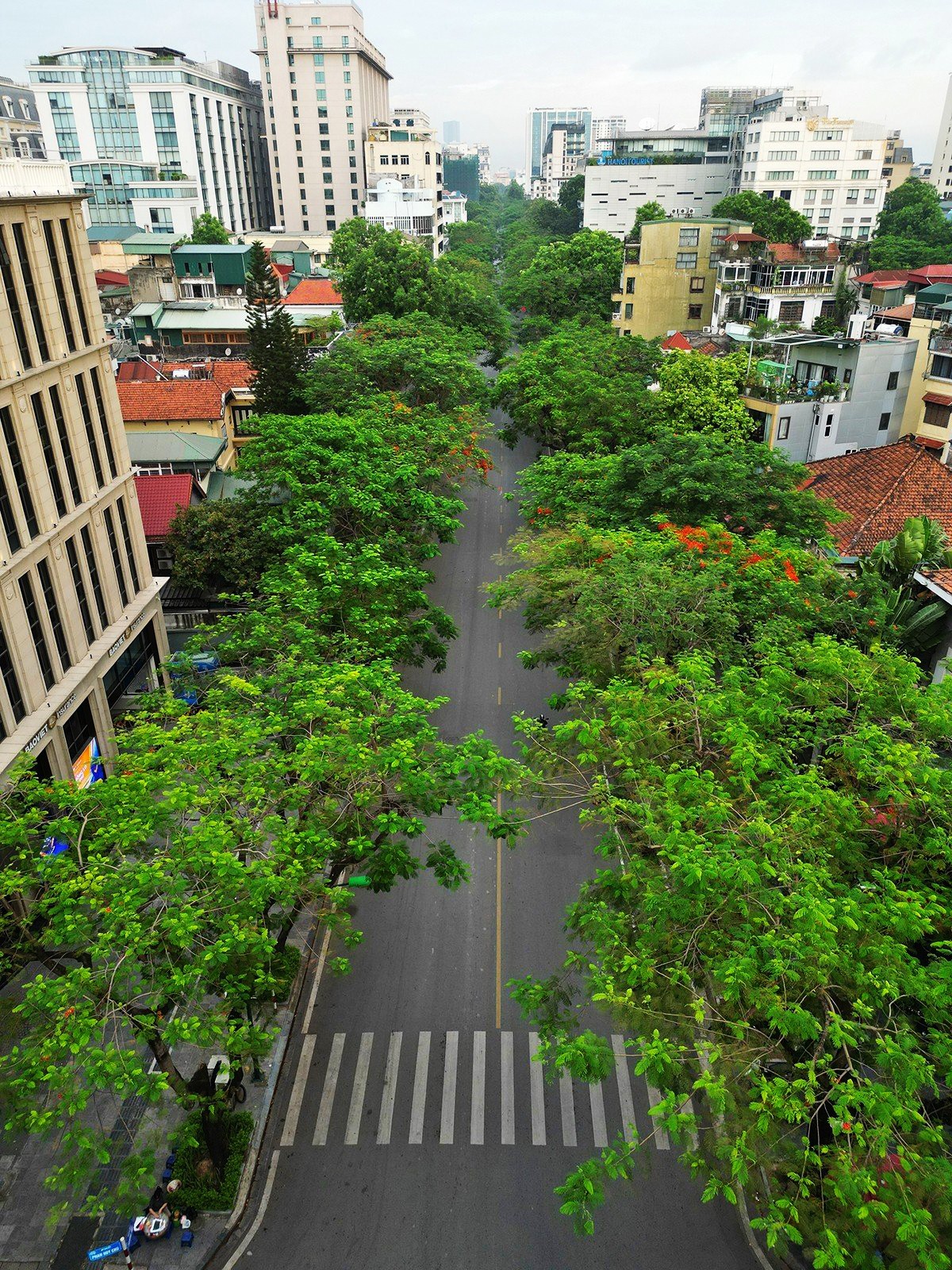 Ảnh: Diện mạo tuyến phố được thiết kế đô thị riêng ở Hà Nội - 18