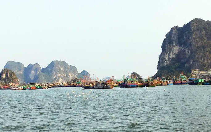 Ứng phó bão số 1, Quảng Ninh bắt đầu sơ tán dân khỏi vùng nguy hiểm - 2