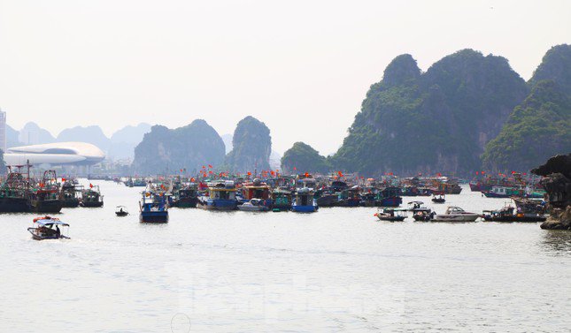 Quảng Ninh cấm biển từ 15h chiều nay, ngư dân hối hả tìm chỗ trú - 1