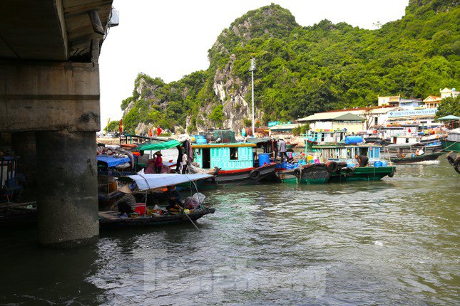 Quảng Ninh cấm biển từ 15h chiều nay, ngư dân hối hả tìm chỗ trú - 4