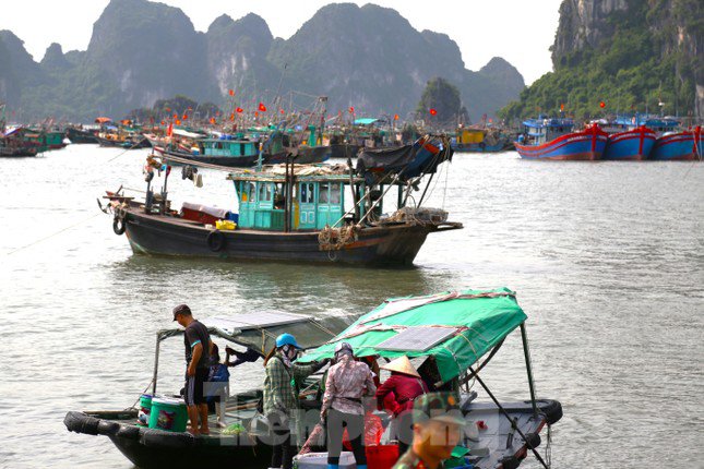 Quảng Ninh cấm biển từ 15h chiều nay, ngư dân hối hả tìm chỗ trú - 2