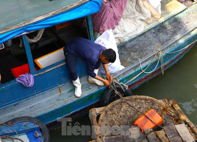 Quảng Ninh cấm biển từ 15h chiều nay, ngư dân hối hả tìm chỗ trú - 5