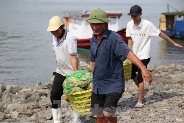 Quảng Ninh cấm biển từ 15h chiều nay, ngư dân hối hả tìm chỗ trú - 7
