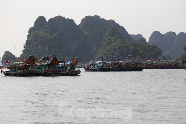 Quảng Ninh cấm biển từ 15h chiều nay, ngư dân hối hả tìm chỗ trú - 6