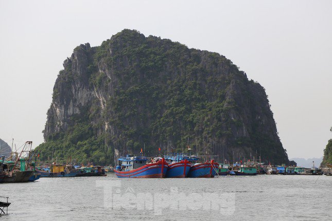 Quảng Ninh cấm biển từ 15h chiều nay, ngư dân hối hả tìm chỗ trú - 8