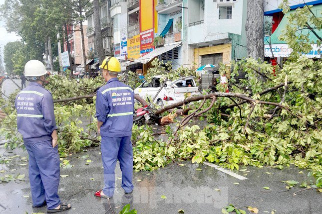 Thoát nạn trong gang tấc khi thấy cành cây cổ thụ sắp gãy xuống đường - 1