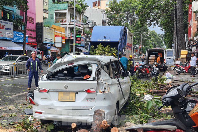 Thoát nạn trong gang tấc khi thấy cành cây cổ thụ sắp gãy xuống đường - 2