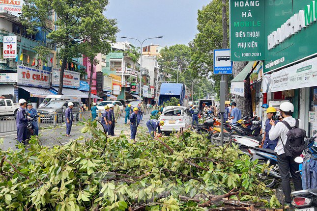 Thoát nạn trong gang tấc khi thấy cành cây cổ thụ sắp gãy xuống đường - 4