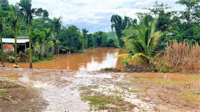 Tỉnh Đắk Nông lên tiếng vụ vỡ hồ nước thiệt hại hơn nửa tỷ đồng - 1