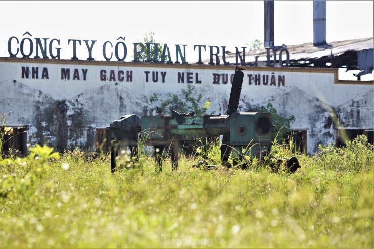 &#39;Đất vàng&#39; giữa trung tâm thành nơi... chăn bò, đổ rác - 16