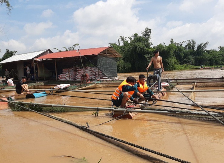 Đồng Nai: Gần 390 tấn cá bè bị lũ cuốn trôi - 2