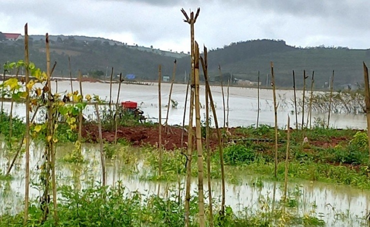Chùm ảnh: Hàng trăm ngôi nhà ở Đắk Lắk, Đắk Nông bị ngập - 5