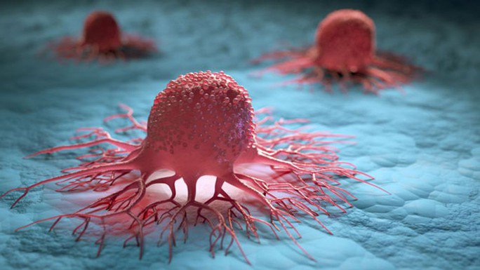 Đột phá từ Mỹ: Tìm ra cách khiến tế bào ung thư tự hủy - 1