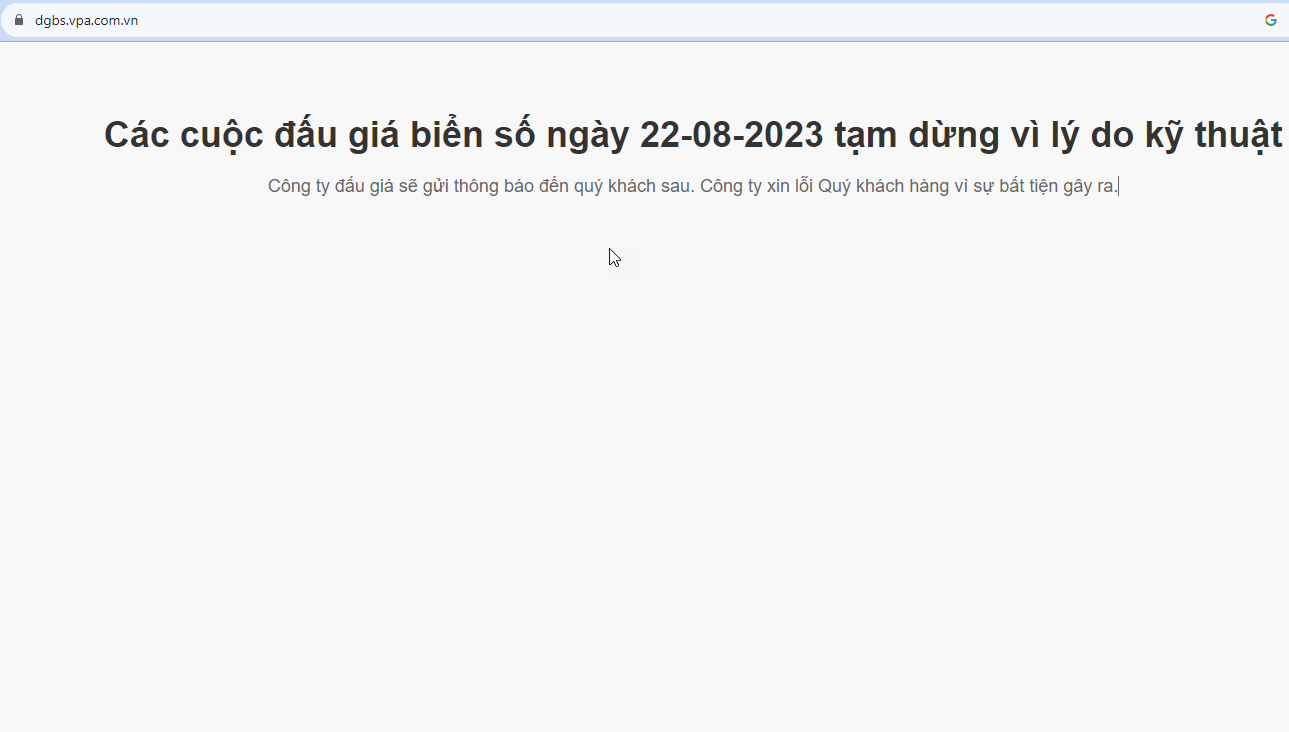 Phiên đấu giá biển số đầu tiên: Trang web “tạm dừng vì lý do kỹ thuật” - 2