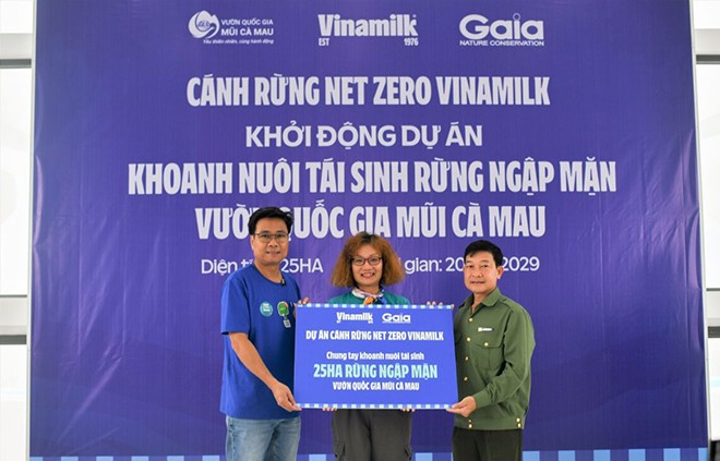 Đẩy mạnh dự án “Cánh Rừng Net Zero”, Vinamilk khoanh nuôi tái sinh 25ha rừng ngập mặn Cà Mau - 1