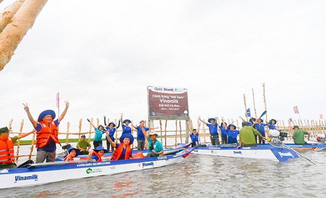 Đẩy mạnh dự án “Cánh Rừng Net Zero”, Vinamilk khoanh nuôi tái sinh 25ha rừng ngập mặn Cà Mau - 2