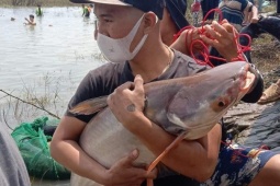 Tin tức 24h qua: Đổ xô chuồn bắt cá “khủng” bên dưới chân đập thủy điện